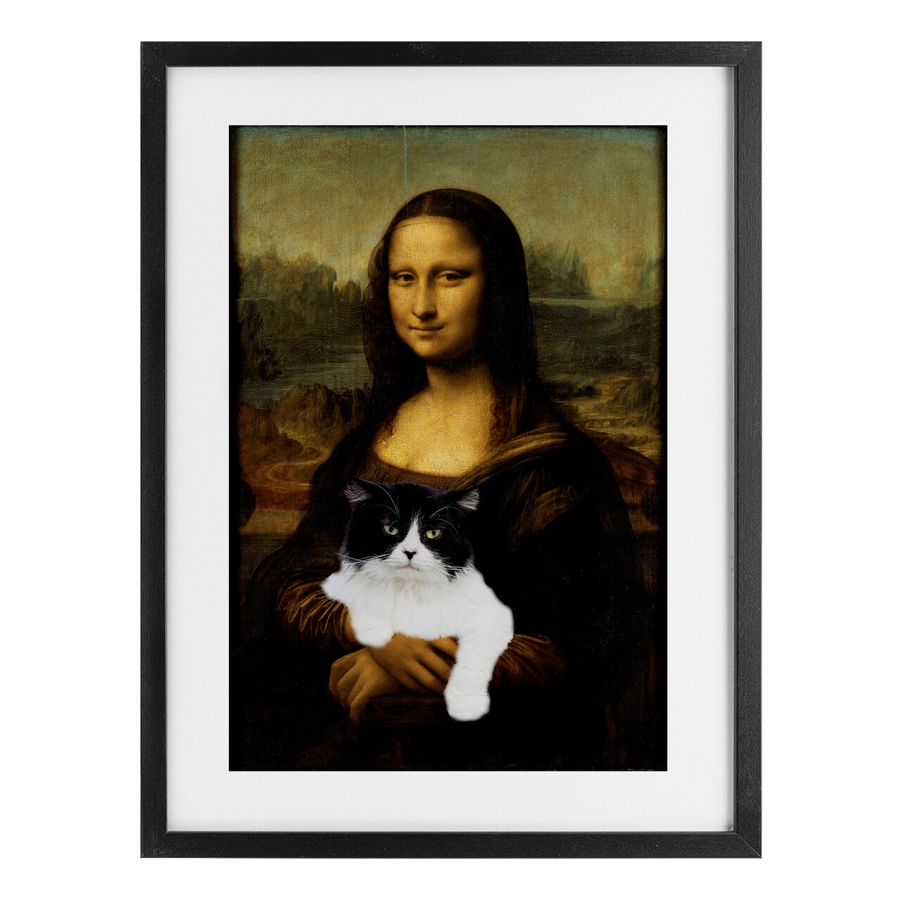 Stupell Industries Mona Lisa Cat Lady Framed Print Under Glass, design by Masters Redux